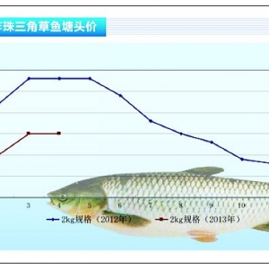 ~~r(ji) пqˮa(chn)ǰء20135¿Ј(chng)څ(sh)