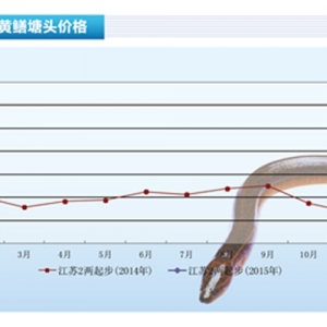 SXr(ji)лˮa(chn)ǰء20153¿Ј(chng)څ(sh)