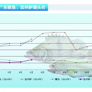 Z~(y)r(ji)񣺺з(wn)пqˮa(chn)ǰء20156¿Ј(chng)څ(sh)