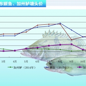 |11MЈc䡪ˮa(chn)ǰء201512¿Јڅ