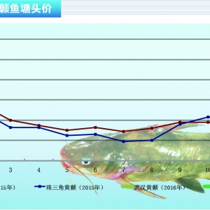 SXr(ji)(wn)Ўn(yu) _(qing)ˮa(chn)ǰء20162¿Ј(chng)څ(sh)