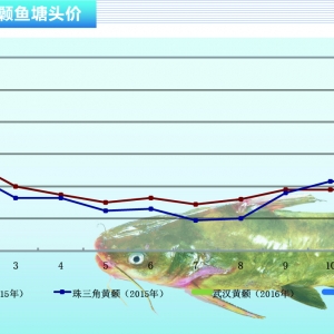 S~(y)3~(y)r(ji)?q)Сϝq ˮa(chn)ǰء20163¿Ј(chng)څ(sh)