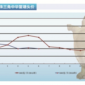 ~6鮐塪ˮa(chn)ǰء20167¿Ј(chng)څ(sh)