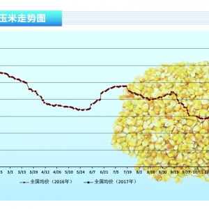 ףۿڃrһһF(xin) Zq桪ˮa(chn)ǰء20173¿Јڅ