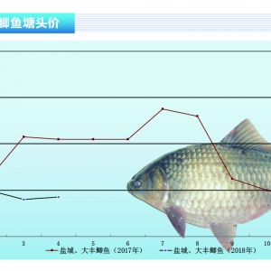 a~Сϝqˮa(chn)ǰء20185¿Јڅ