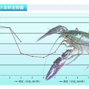 Сr r»ˮa(chn)ǰء20185¿Јڅ