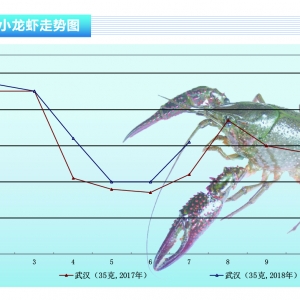 Сrp Јrϝqˮa(chn)ǰء20188¿Јڅ