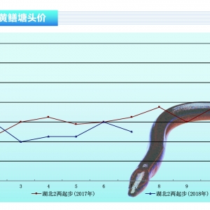 SXr(ji)(wn) С(dng)ˮa(chn)ǰء20188¿Јڅ