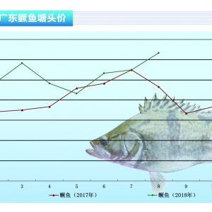 Z~~q~m(x)Сˮa(chn)ǰء20189¿Ј(chng)څ(sh)