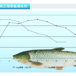 ~鷀(wn)Խˮa(chn)ǰء201810¿Ј(chng)څ(sh)