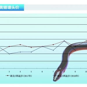 SXr(ji)С»ڿqˮa(chn)ǰء201810¿Јڅ