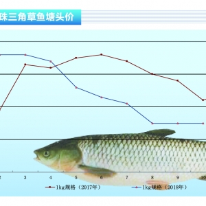 ~ȫ(gu)~鷀(wn)Խˮa(chn)ǰء201811¿Ј(chng)څ(sh)