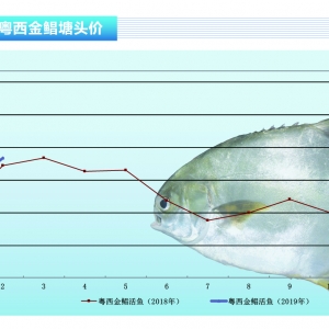 Kȫqrߝq2.8Ԫ/Ʒq10Ԫ/ˮa(chn)ǰء20192¿Ј(chng) ...