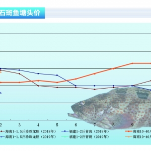 ʯ~Ј(chng)r(ji)񱣳ƽ(wn)ˮa(chn)ǰء20192¿Ј(chng)څ(sh)