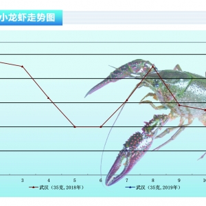 СrЈN½rˮa(chn)ǰء20191¿Јڅ