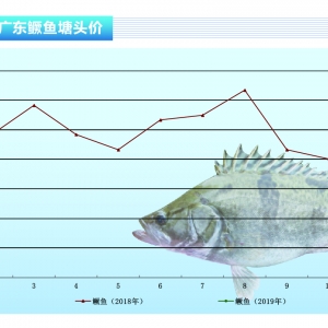 Z~ȫ Kˮa(chn)ǰء20193¿Ј(chng)څ(sh)