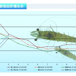 r漱rrϝqˮa(chn)ǰء20194¿Јڅ