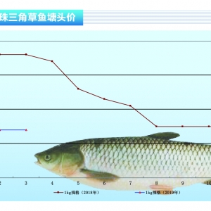 ~~؜eO~r(ji)񷴏ˮa(chn)ǰء20194¿Ј(chng)څ(sh)