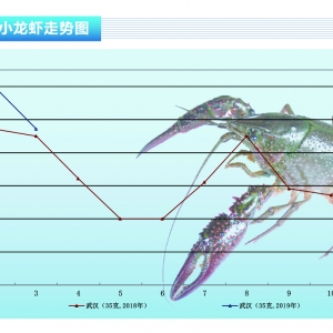 СrN½rˮa(chn)ǰء20194¿Јڅ