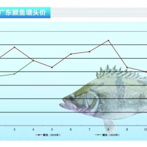 Z~m(x)Ժһȴjˮa(chn)ǰء20195¿Ј(chng)څ(sh)