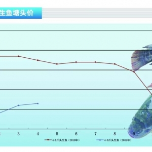 ~~rСϝqˮa(chn)ǰء20195¿Јڅ