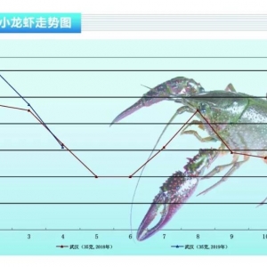 СrNr񱩵ˮa(chn)ǰء20195¿Јڅ