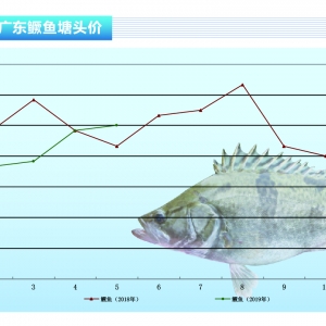 Z~m(x)q(sh)ϲˡˮa(chn)ǰء20196¿Ј(chng)څ(sh)