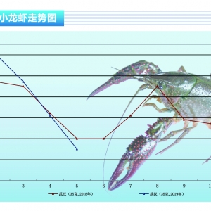 СrСrB(yng)ɴСˮa(chn)ǰء20196¿Јڅ