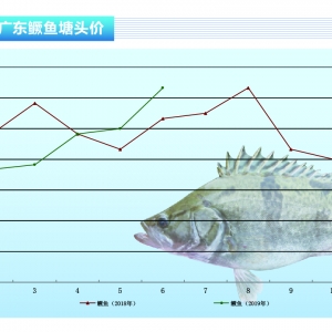 Z~jq@ˡˮa(chn)ǰء20197¿Ј(chng)څ(sh)