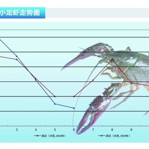 СrN^m(x)r½ˮa(chn)ǰء20197¿Јڅ