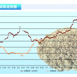 ɣP(gun)עG20Մ 3000yˮa(chn)ǰء20197¿Ј(chng)څ(sh)