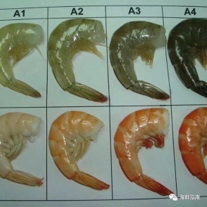 ӡӭȫڶra(chn)2019a(chn)ͻ75f