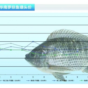 _~S(wn)~r(ji)ϝqgСˮa(chn)ǰء201910¿Ј(chng)څ(sh)