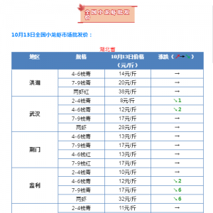 ٬F(xin)ߵ6Ԫ/rֻu32Ԫ/1013Сrl(f)