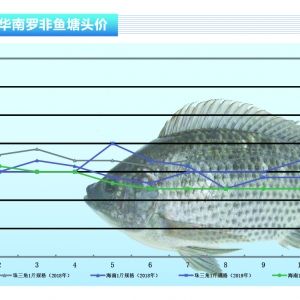 _~Ј(chng)m(x)N~r(ji)ϝqޡˮa(chn)ǰء201911¿Ј(chng)څ(sh)