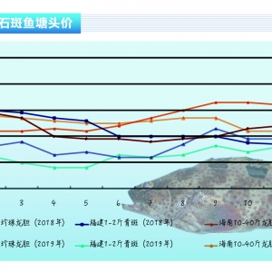 ʯ~~(ji)ӿ죬r(ji)񱣳ƽ(wn)ˮa(chn)ǰء20201¿Јڅ