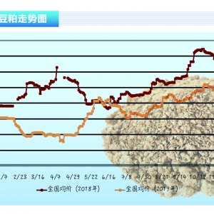 ɣһڅf(xi)hP(pn) (gu)(ni)ɄtʬF(xin)(sh)ˮa(chn)ǰء20201¿Ј(chng)څ(sh)