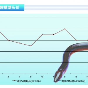 SXr(ji)񶸽_̫󡪡ˮa(chn)ǰء20203¿Јڅ