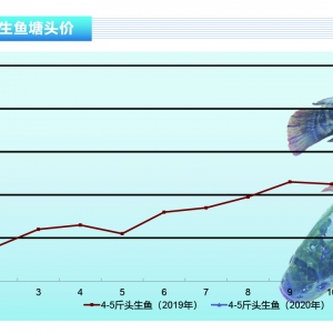 ~ѹ(ji)M(fi)~лůˮa(chn)ǰء20202¿Јڅ