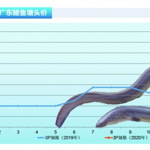 ~ꑡձЈձrϝqˮa(chn)ǰء20202¿Јڅ