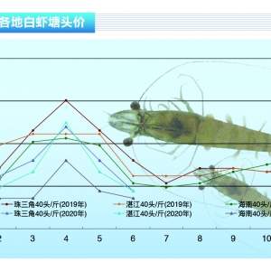 r:鷴ӄrrµˮa(chn)ǰء20207¿Јڅ