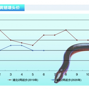 SXwS(wn)ϝqܡˮa(chn)ǰء20207¿Јڅ