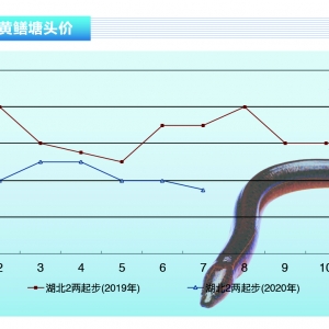 SXwS(wn)лϝqܡˮa(chn)ǰء20208¿Јڅ