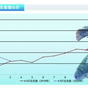 ~~렀C(j)Сˮa(chn)ǰء20204¿Јڅ