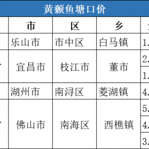 r(ji)11.36Ԫ/20208µ3S~ڃr(ji)񲥈(bo)