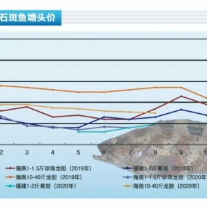 ʯ~D(zhun)C(j)ƷNr(ji)߄څáˮa(chn)ǰء20209¿Јڅ