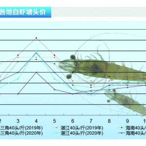 rArrв@Kݡˮa(chn)ǰء202012¿Јڅ