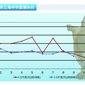 ~~_ʼm(x)Сˮa(chn)ǰء202010¿Јڅ