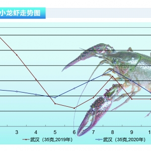 СrУеĿǰ߀ԳͶιˮˮa(chn)ǰء20211¿Јڅ ...