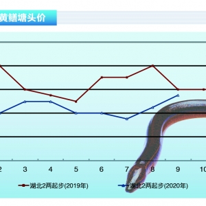 SXwS(wn)лϝqܡˮa(chn)ǰء202010¿Јڅ